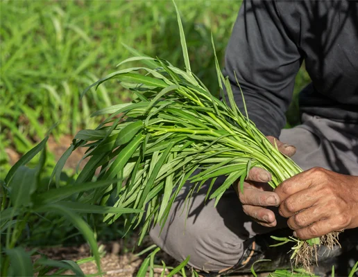 Grupo Yoma: Nitrógeno y medio ambiente